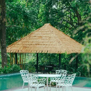 athirapilly-on-the-rocks.kerala-hotels.net/